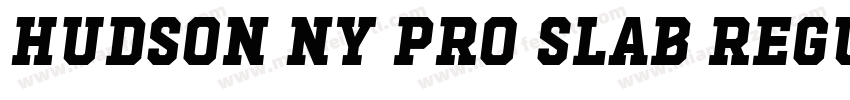 Hudson NY Pro Slab Regular字体转换